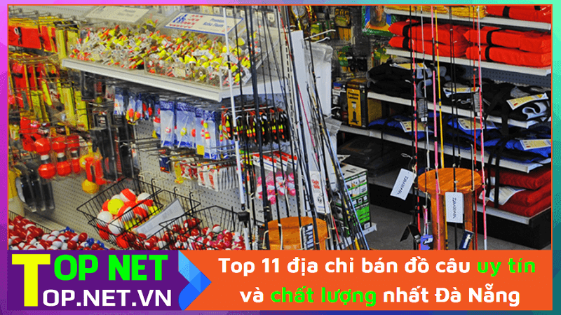 Top 11 địa chỉ bán đồ câu uy tín và chất lượng nhất Đà Nẵng