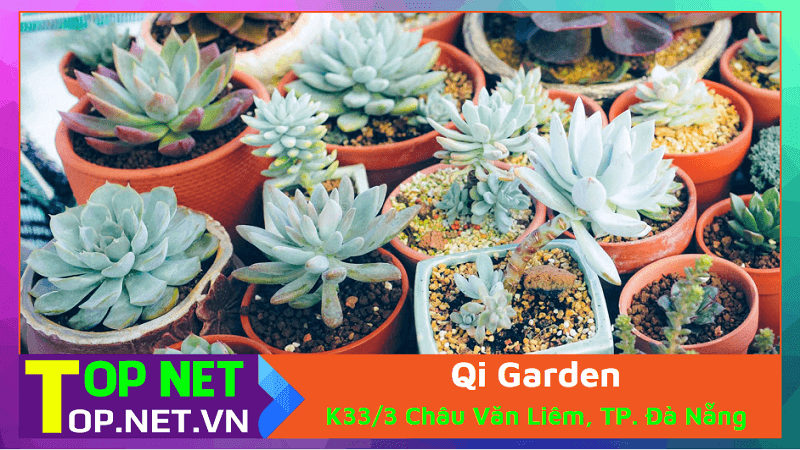 Qi Garden - Shop sen đá Đà Nẵng