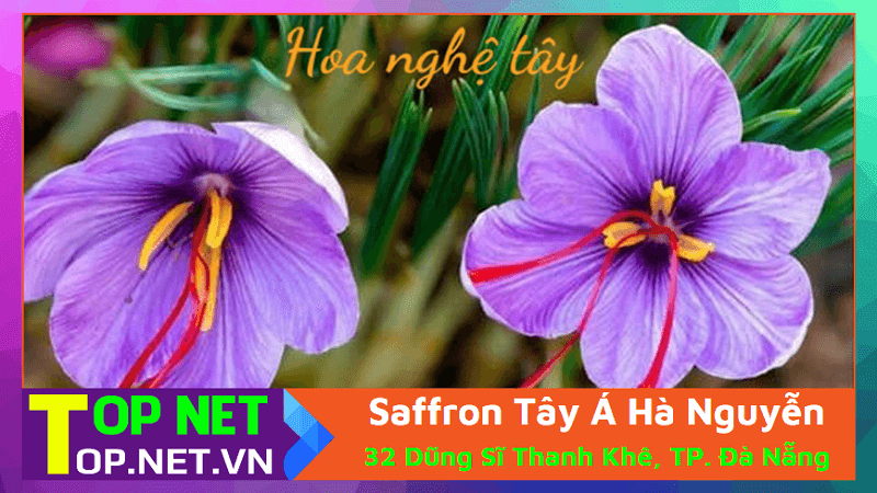 Saffron Tây Á Hà Nguyễn