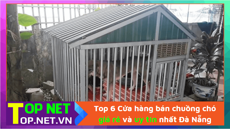 Top 6 Cửa hàng bán chuồng chó giá rẻ và uy tín nhất Đà Nẵng