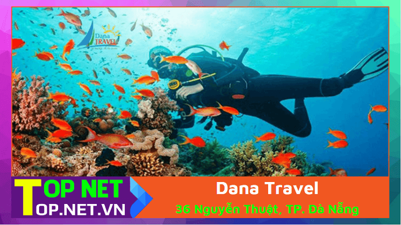 Dana Travel - Lặn biển ngắm san hô Đà Nẵng