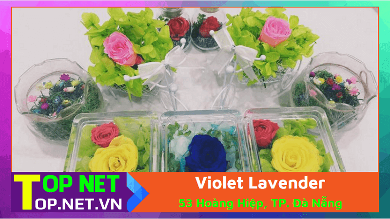 Violet Lavender - Hoa lavender khô Đà Nẵng